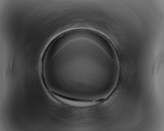 X0000095121519200712141125