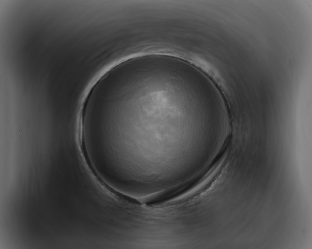 X0000095121520200712141125