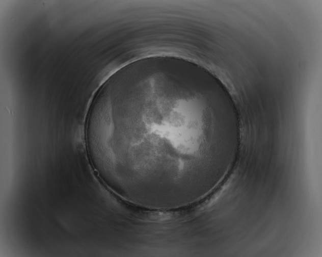 X0000095121521200712141125