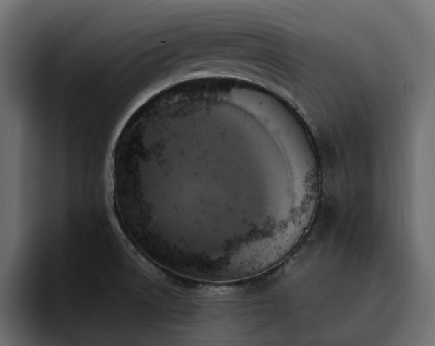 X0000095121522200712141126