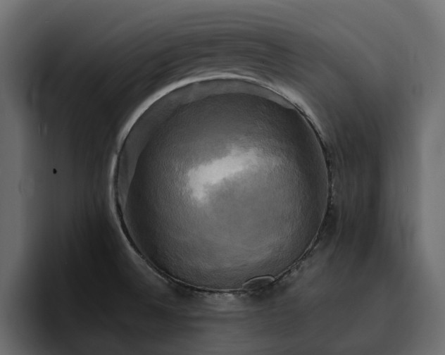 X0000095121524200712141126