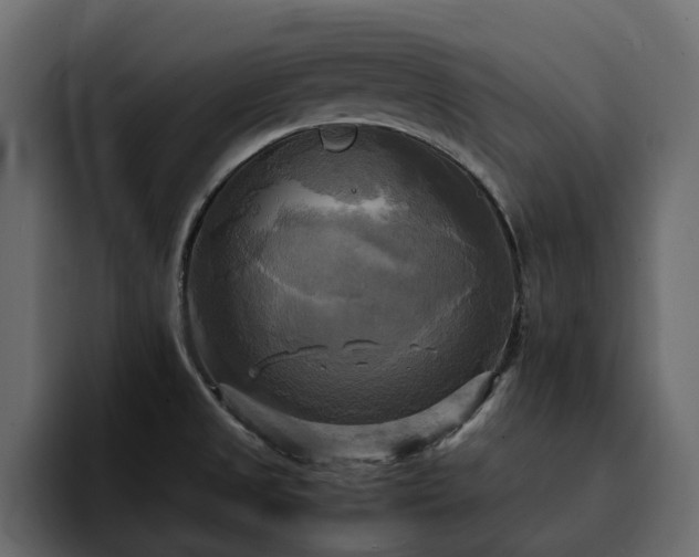 X0000095121525200712141126