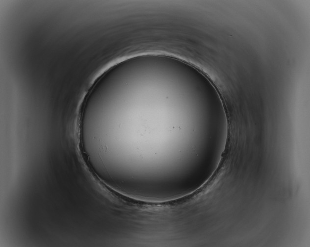 X0000095121526200712141126