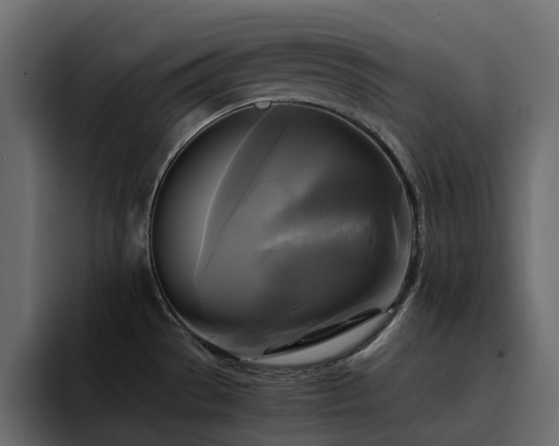 X0000095121529200712141126