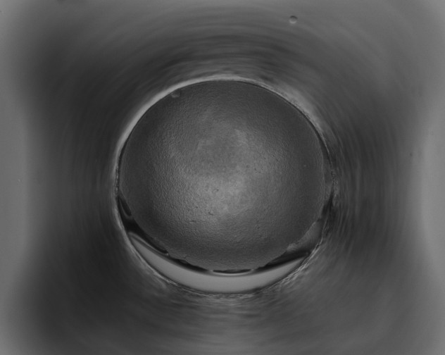 X0000095121532200712141126