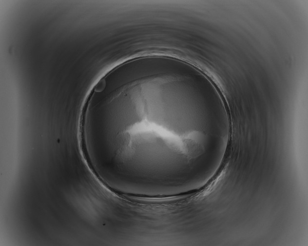 X0000095121533200712141126