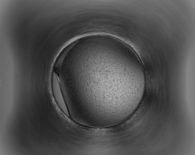 X0000095121534200712141126