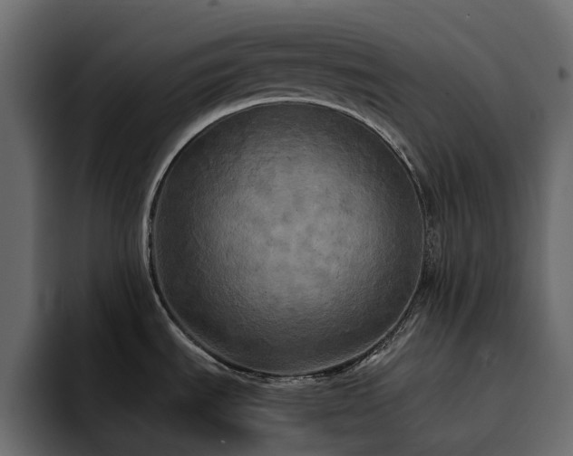 X0000095121535200712141126