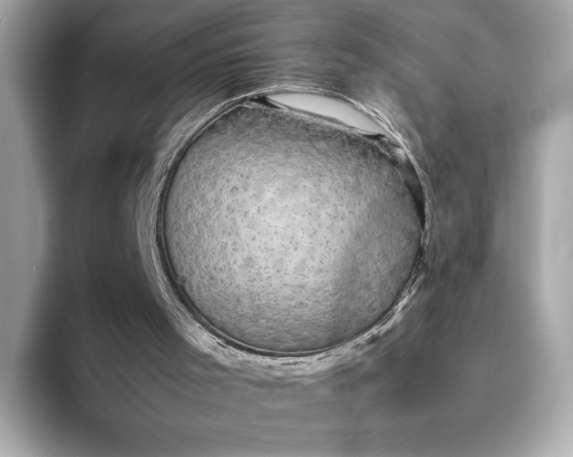 X0000095120001200712211319