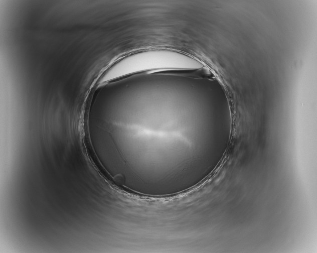 X0000095120002200712211319