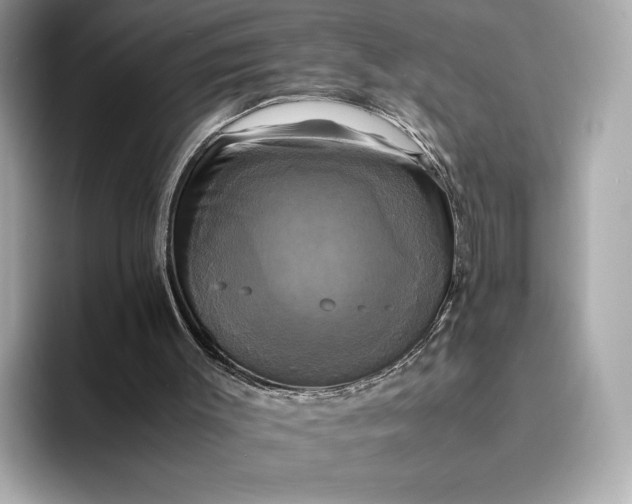 X0000095120003200712211319