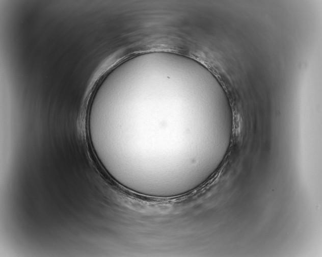 X0000095120004200712211319