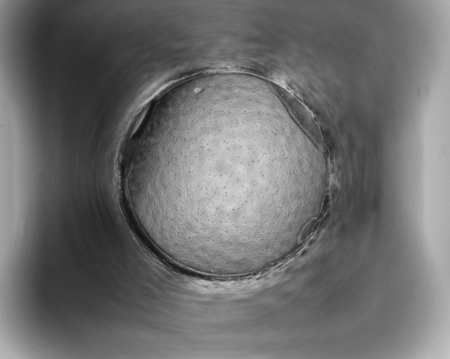 X0000095120005200712211319