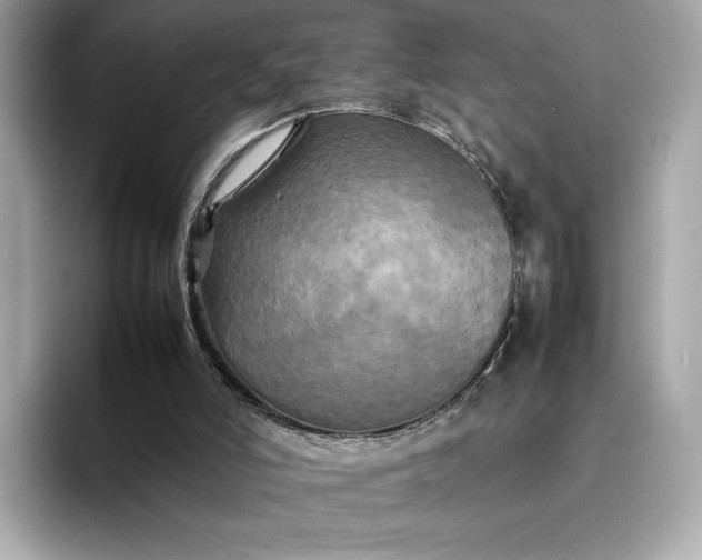 X0000095120006200712211319