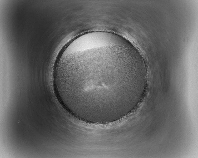 X0000095120007200712211319