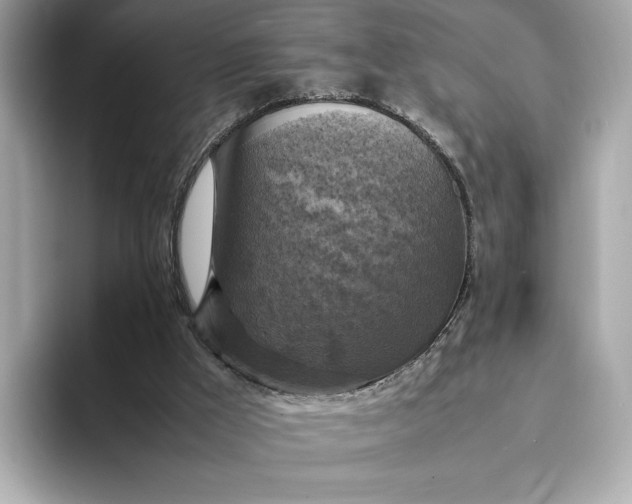 X0000095120009200712211319