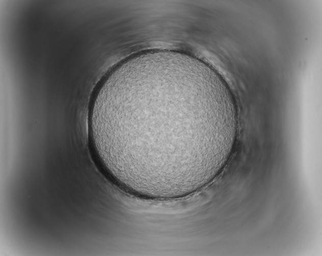 X0000095120011200712211319