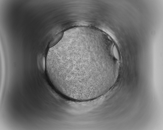 X0000095120013200712211319