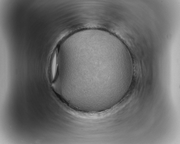 X0000095120015200712211319