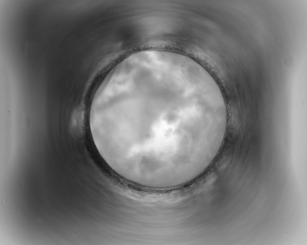 X0000095120016200712211319