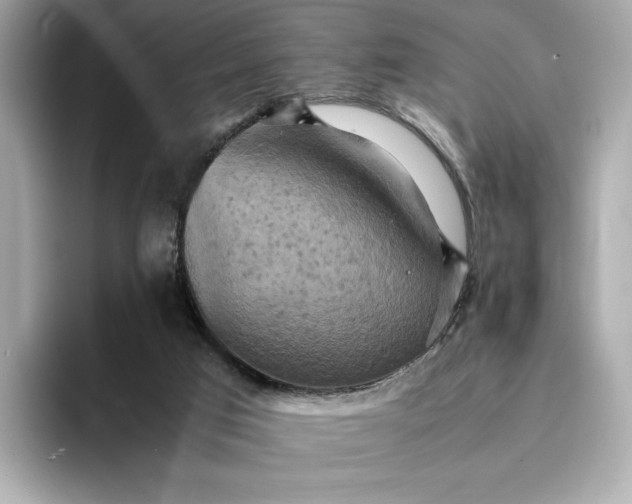 X0000095120017200712211319