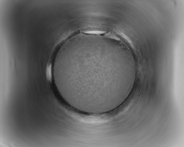 X0000095120020200712211319