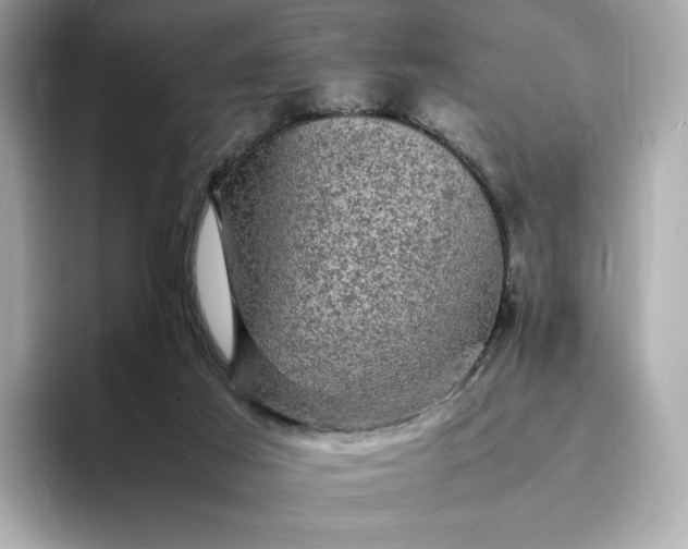 X0000095120021200712211319