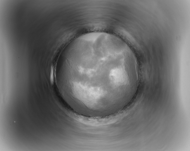 X0000095120022200712211319