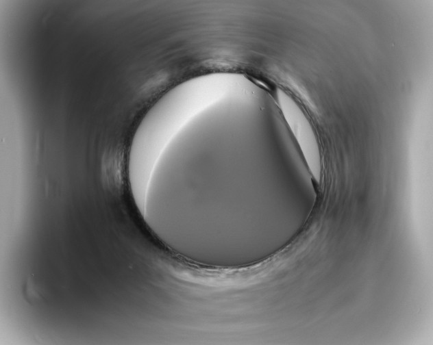 X0000095120023200712211319