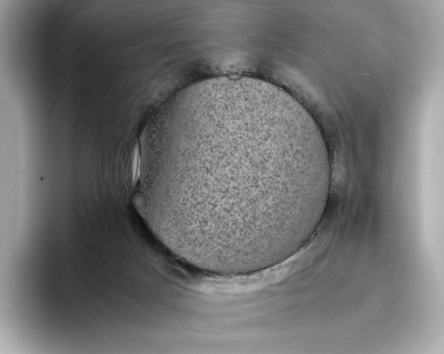 X0000095120025200712211319