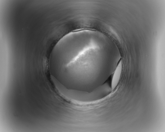 X0000095120029200712211319