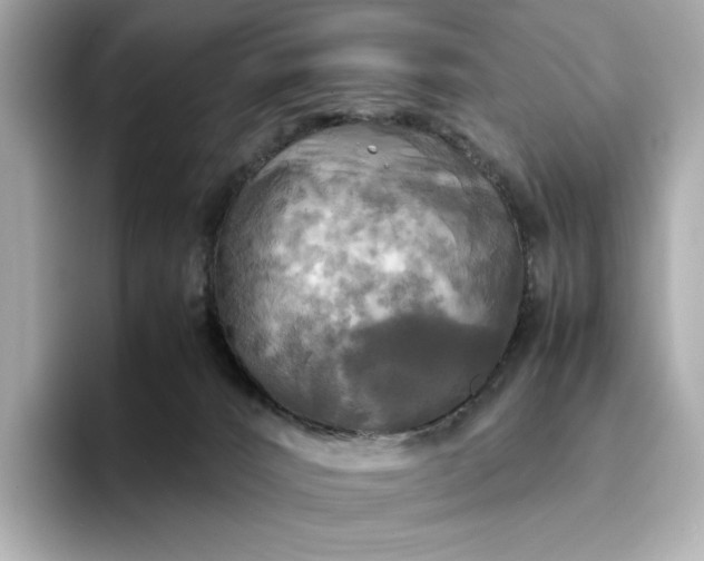 X0000095120032200712211319