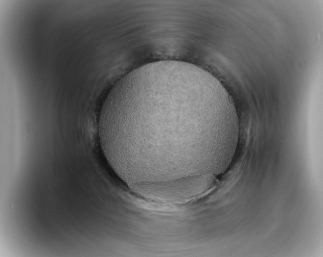 X0000095120040200712211318