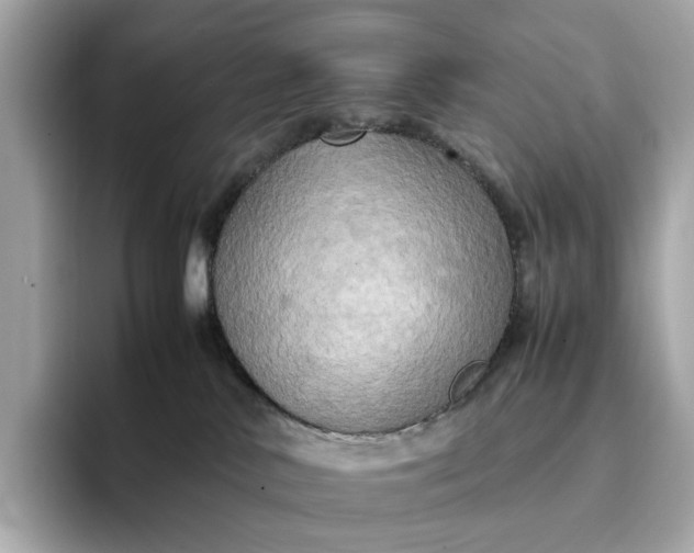 X0000095120042200712211318