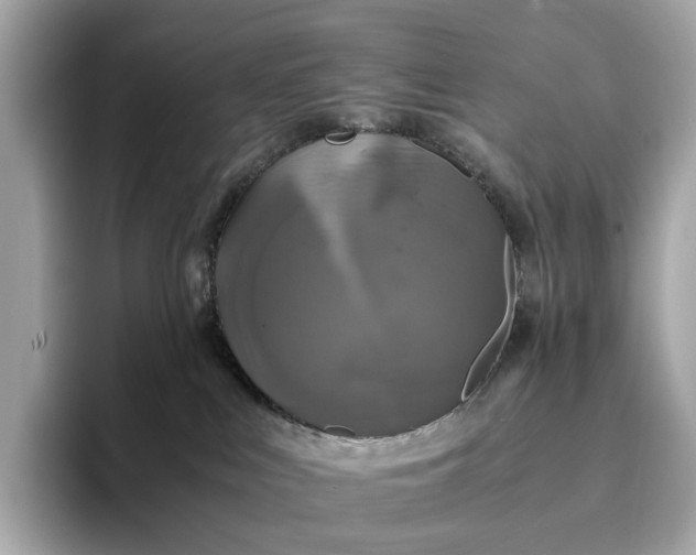 X0000095120043200712211318