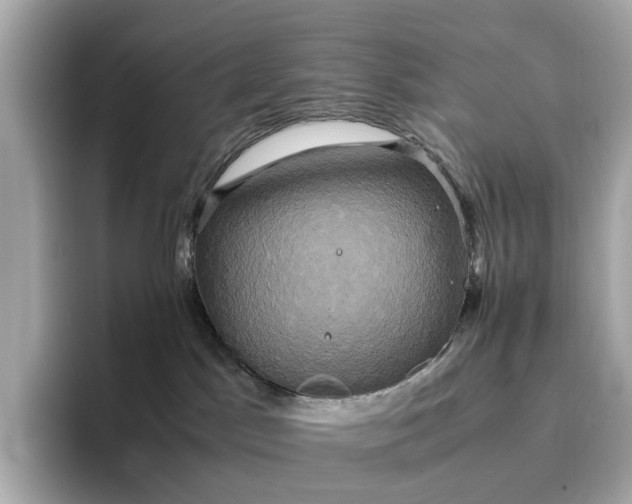 X0000095120045200712211318