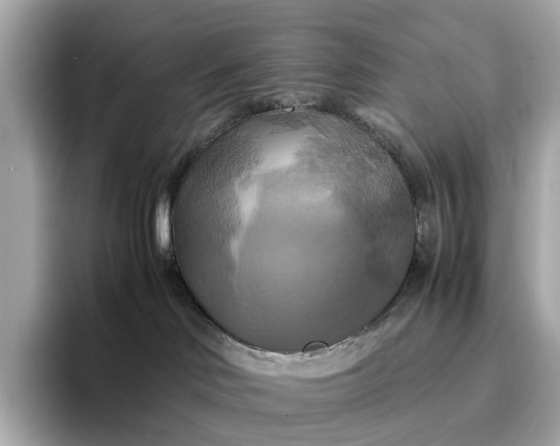 X0000095120046200712211318