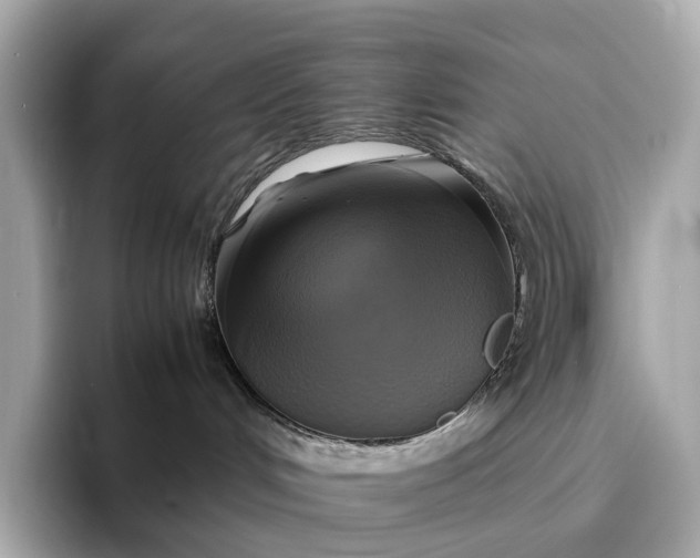 X0000095120048200712211318