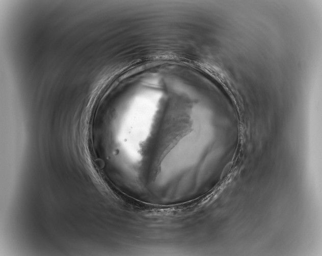 X0000095120049200712211318