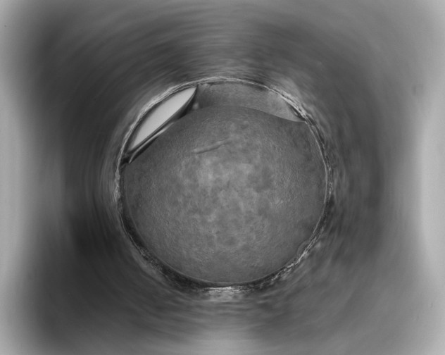 X0000095120050200712211318