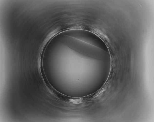 X0000095120051200712211318