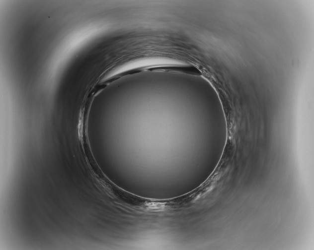 X0000095120052200712211318