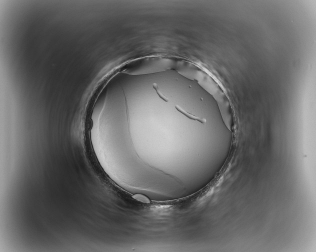 X0000095120055200712211318