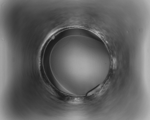 X0000095120056200712211318