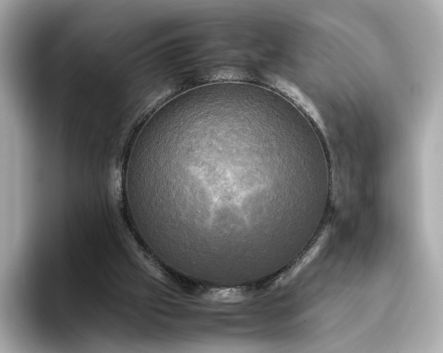 X0000095120057200712211318