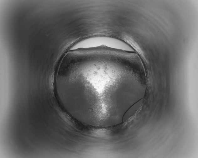 X0000095120058200712211318