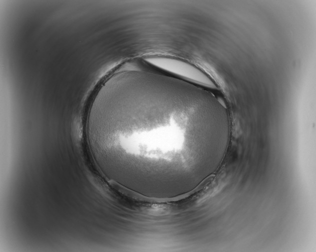 X0000095120060200712211318