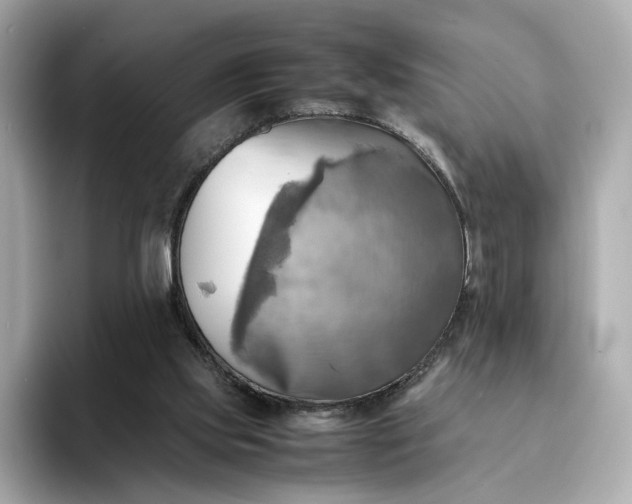 X0000095120061200712211318