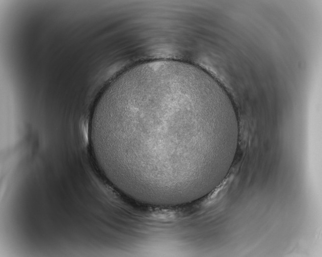 X0000095120062200712211318