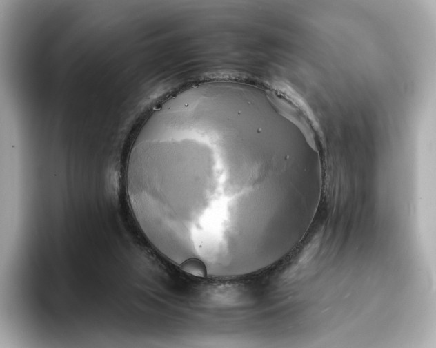 X0000095120063200712211318